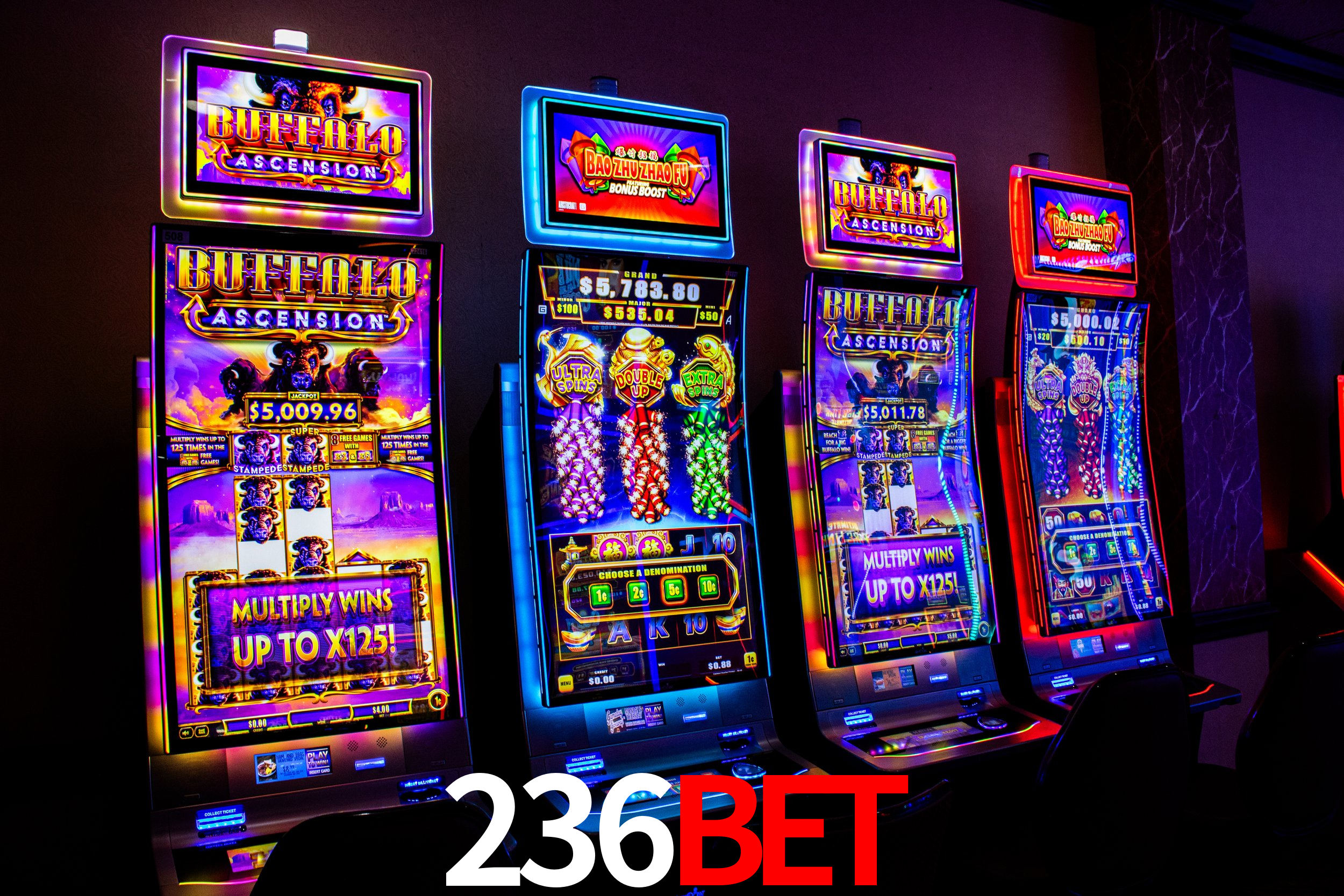 236bet,236bet app